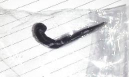 Đỉa dài 10 cm sống trong thanh quản hơn 1 tháng