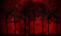 Tối 8/10 xuất hiện “trăng máu”