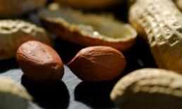 Những lợi ích không ngờ từ hạt lạc