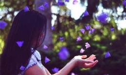 Khám phá thứ Bảy của bạn (4/10/2014)