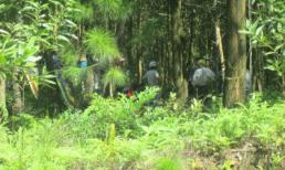 Phát hiện thi thể phân hủy còn trơ bộ xương trong rừng