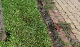 Vụ cụ ông 70 tuổi nghi bị giết: Nạn nhân không bị chặt xác?