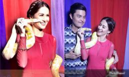 'Mỹ nhân đẹp nhất Philippines' táo bạo đùa nghịch với trăn khổng lồ