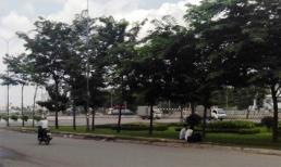 Thông tin mới nhất vụ xác chết bí ẩn tại Tp. HCM