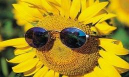 Khám phá thứ tư của bạn (8/10/2014)