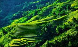 Lên Hà Giang chơi gì mùa thu?