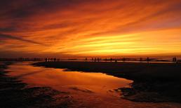 Khám phá thứ Năm của bạn (9/10/2014)