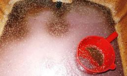 Hãi hùng phát hiện lò mắm tôm lổn nhổn giòi