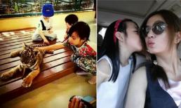 Con gái Triệu Vy thản nhiên ngồi chơi với hổ