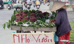 Nho “lạ” ngập thị trường