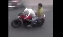 Cún lái mô tô rất điệu nghệ