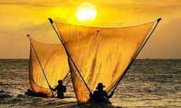 Khám phá thứ hai của bạn (13/10/2014)