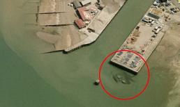 Bức ảnh con cua 15m gây sốt