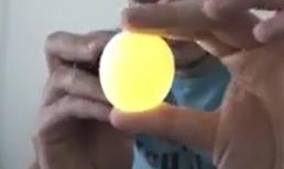 10 nghiên cứu kỳ thú quanh ta