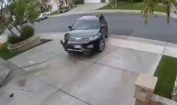 Tài xế bá đạo nhất năm