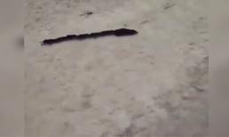 Rớt nước mắt với những tình huống hài hước (P.5)