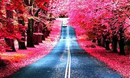 Thứ năm của bạn (16/10)