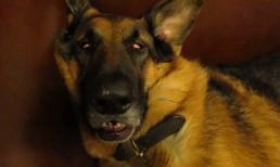 Đã móm rồi lại còn ngủ ngáy