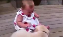 Bé và cún cưng là đôi bạn thân