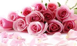 Tử vi cung hoàng đạo thứ bảy của bạn (18/10/2014)