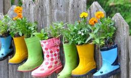 Tử vi cung hoàng đạo chủ nhật của bạn (19/10/2014)