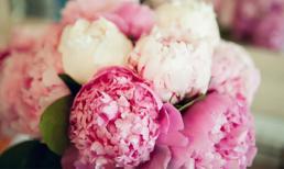 Phong thủy: Tặng hoa vợ vui, tiền rơi vào túi