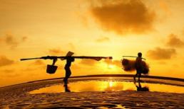 Tử vi cung hoàng đạo thứ hai của bạn (20/10/2014)