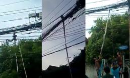 Bắt trăn khổng lồ trên... dây điện