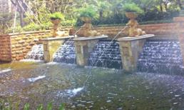 Trang trí không gian sân vườn độc đáo bằng... nước