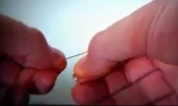 Những nghiên cứu thú vị bạn có thể làm