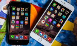 iPhone 6 bán chạy gấp 6 lần 6 Plus