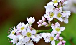 Tử vi cung hoàng đạo thứ tư của bạn (22/10/2014)