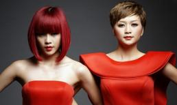 Nhan sắc, tài năng khác biệt của anh chị em sao Việt