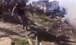 Leo lên đầu cá sấu đùa giỡn