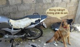 Ảnh vui: Nỗi khổ kẻ có vợ