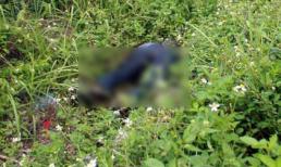 Thi thể người đàn ông phân hủy mạnh trong rừng