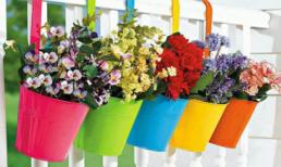 Nét duyên từ những ban công rực rỡ sắc hoa