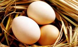 Cảnh báo nguy hiểm khi ăn trứng thường xuyên