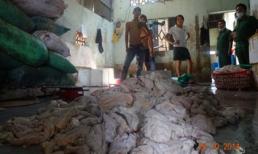 Hãi hùng cảnh tượng sản xuất dầu ăn bẩn