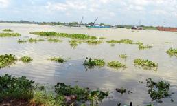 Thi thể bé gái 3 tuổi đang phân huỷ trên sông Sài Gòn