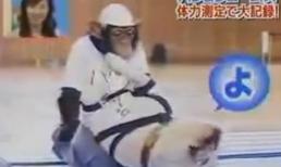 Khỉ và chó tập thể dục siêu hài