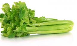 Thực phẩm ngừa dị ứng tốt nhất trong mùa thu