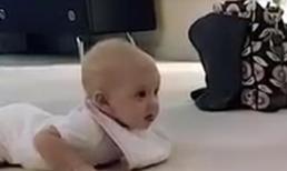 Em bé lần đầu biết bò cực yêu