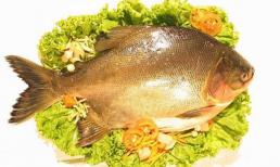 5 điều bắt buộc phải biết khi ăn cá