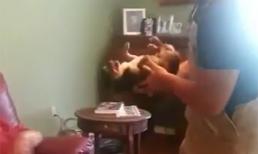 Chiêu 'giả chết' của cún con mỗi khi được chủ bế