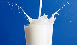 Nghiên cứu mới: Mỗi ngày uống trên 3 ly sữa... có hại cho sức khỏe