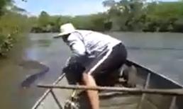 Trăn khổng lồ có tồn tại?