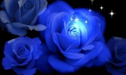 Tử vi cung hoàng đạo thứ năm của bạn (06/11/2014)