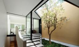 Bố trí giếng trời giúp tài chính của gia chủ vững mạnh