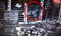 Những tên trộm ngu nhất quả đất